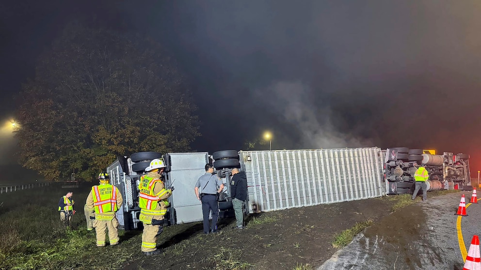 This photo, provided by the Sandy Hook, Conn., Volunteer Fire & Rescue, shows a tractor-trailer rollover carrying 44 cows, on Interstate 84 in Newtown, Conn., Thursday, October 19, 2023. It was determined that 14 of the cows perished as a result of the accident, six were were euthanized on scene. (Sandy Hook Volunteer Fire & Rescue via AP)