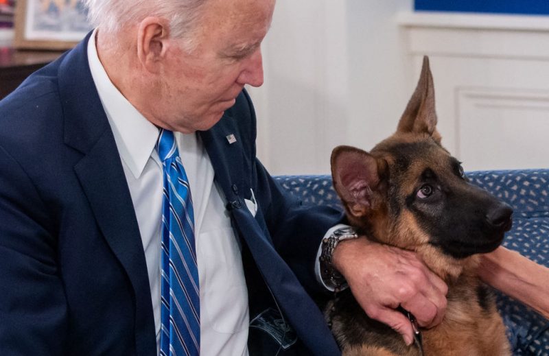 US President Joe Biden pets his new dog Commander as he speak virtually with military service members to thank them for their service and wish them a Merry Christmas, from the South Court Auditorium of the White House in Washington, DC, on December 25, 2021. (Photo by SAUL LOEB / AFP) (Photo by SAUL LOEB/AFP via Getty Images)