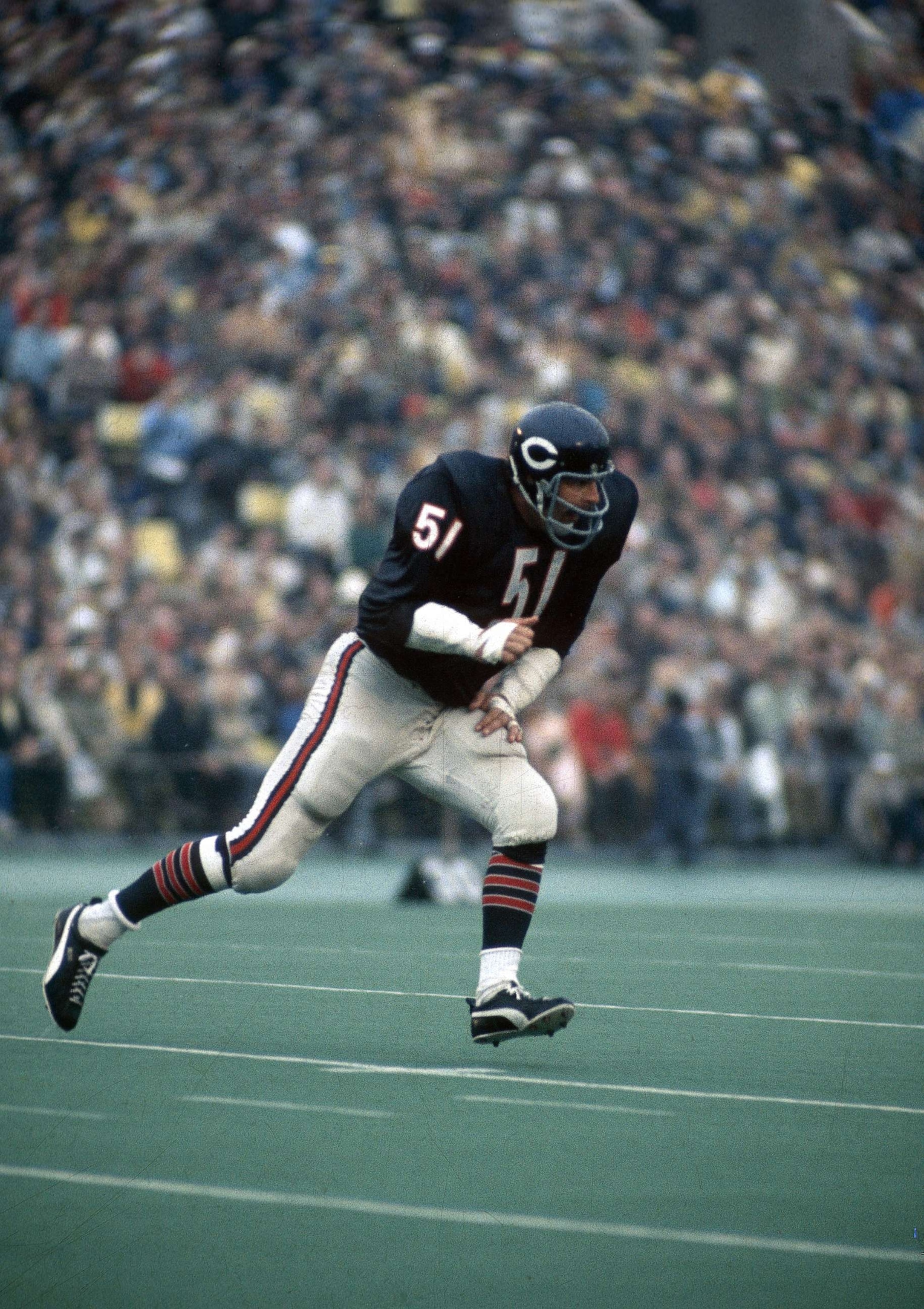 PHOTO: Dick Butkus #51 of the Chicago Bears at middle linebacker in a circa early 1970's NFL football game at Soldier field in Chicago.