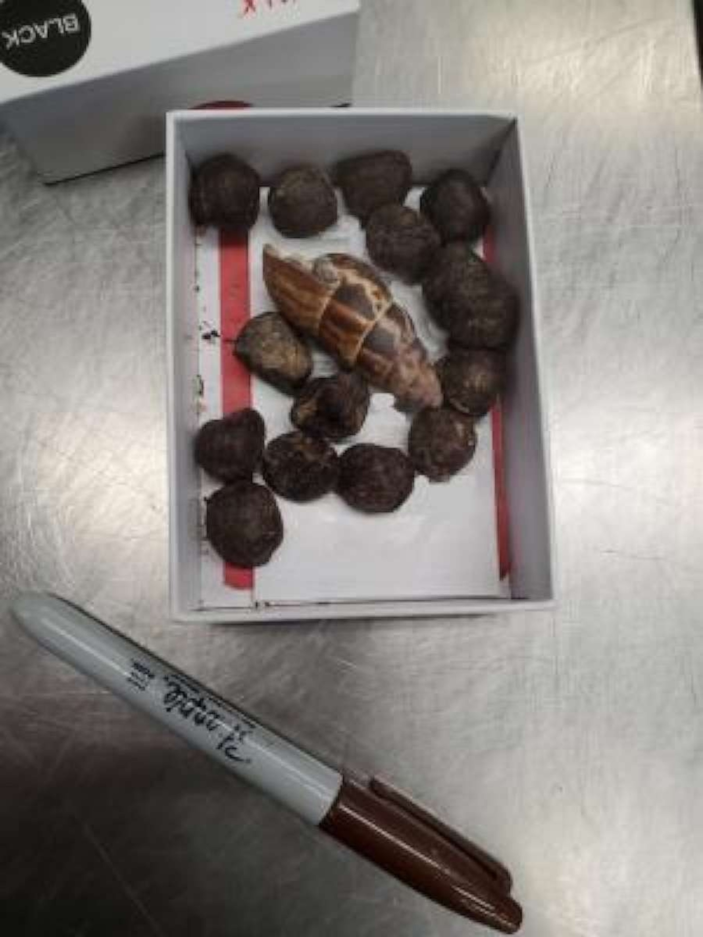 PHOTO: A box of giraffe feces was confiscated and destroyed by U.S. Customs and Border Protection after a woman brought it back from a trip to Kenya and planned to make necklaces out of the excrement.