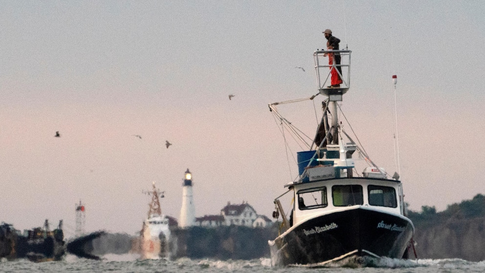 FILE - A fisherman on a tower scans the waters of Casco Bay, Tuesday, Sept. 15, 2020, off Portland, Maine. Police in Maine say a lobsterman dove from a boat into the ocean to help save a driver trapped in a sinking car. Police in Portland say the car drove into Casco Bay shortly after noon on Thursday, Nov. 16, 2023. (AP Photo/Robert F. Bukaty, File)