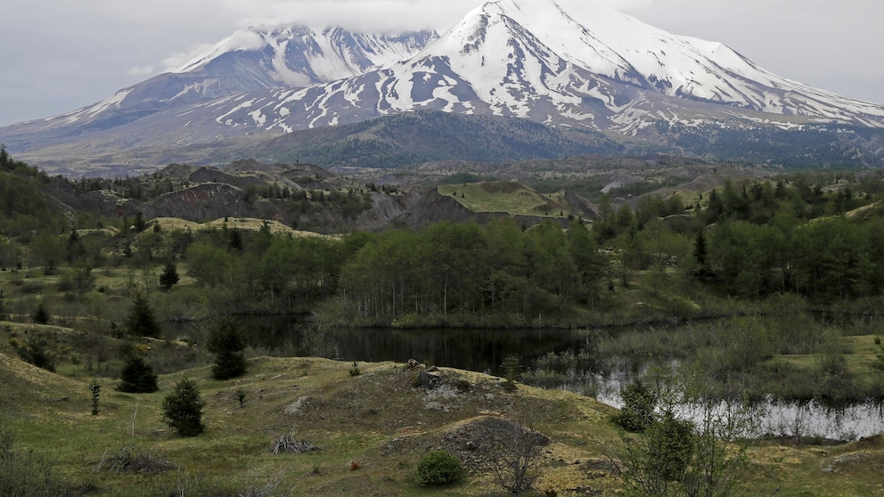 FILE - Mount St. Helens is seen from the Hummocks Trail, on May 18, 2020, in Washington state. More than 400 earthquakes have been detected beneath Washington's Mount St. Helens in recent months though there are no signs of an imminent eruption, according to the U.S. Geological Survey. Most of the quakes over a three-month span beginning in mid-July 2023 were less than magnitude 1.0 and too small to be felt at the surface, the agency reported last week. (AP Photo/Ted S. Warren, File)