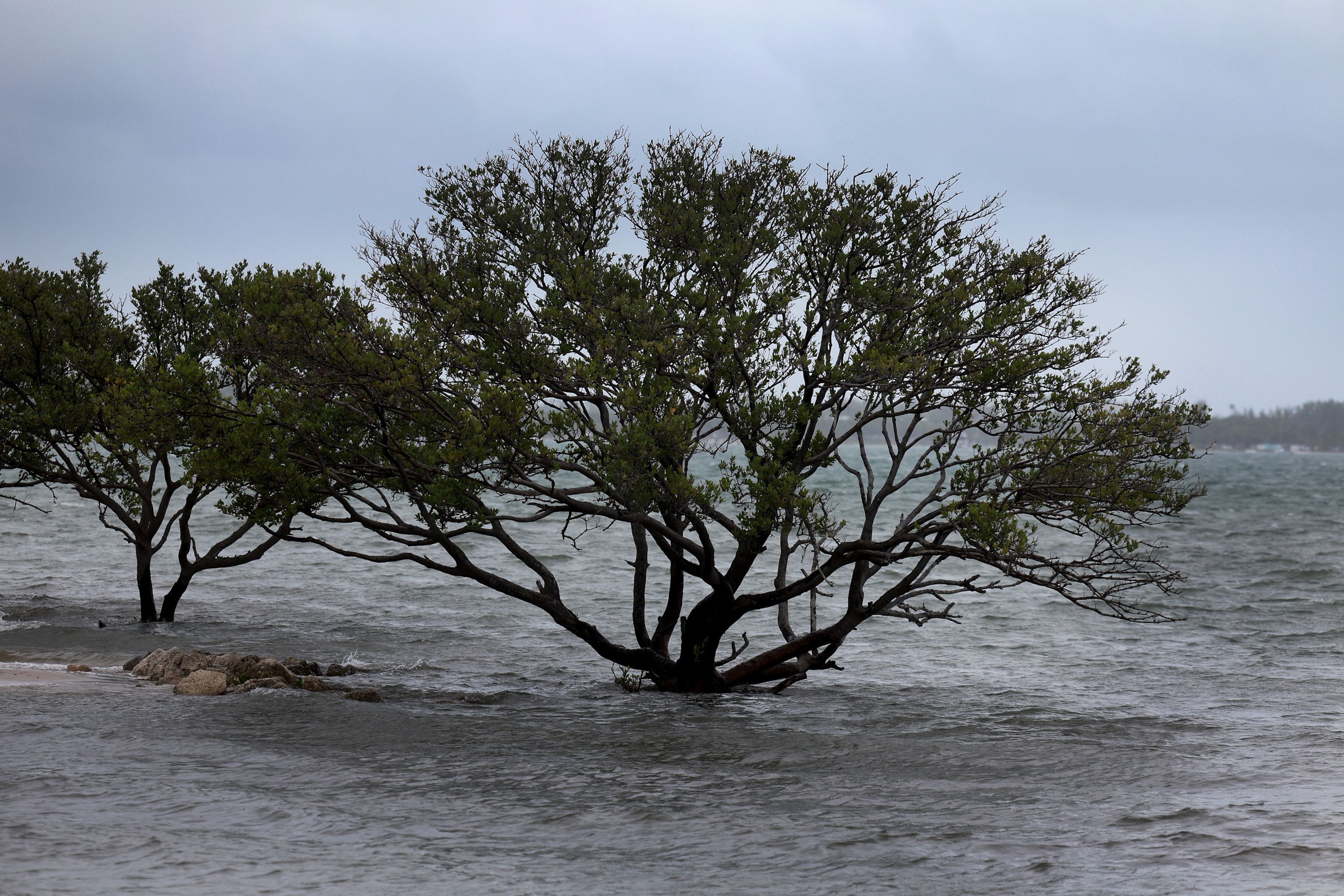 PHOTO: Rain And Seasonal King Tide Briing Coastal Flooding To Florida Shoreline Communities