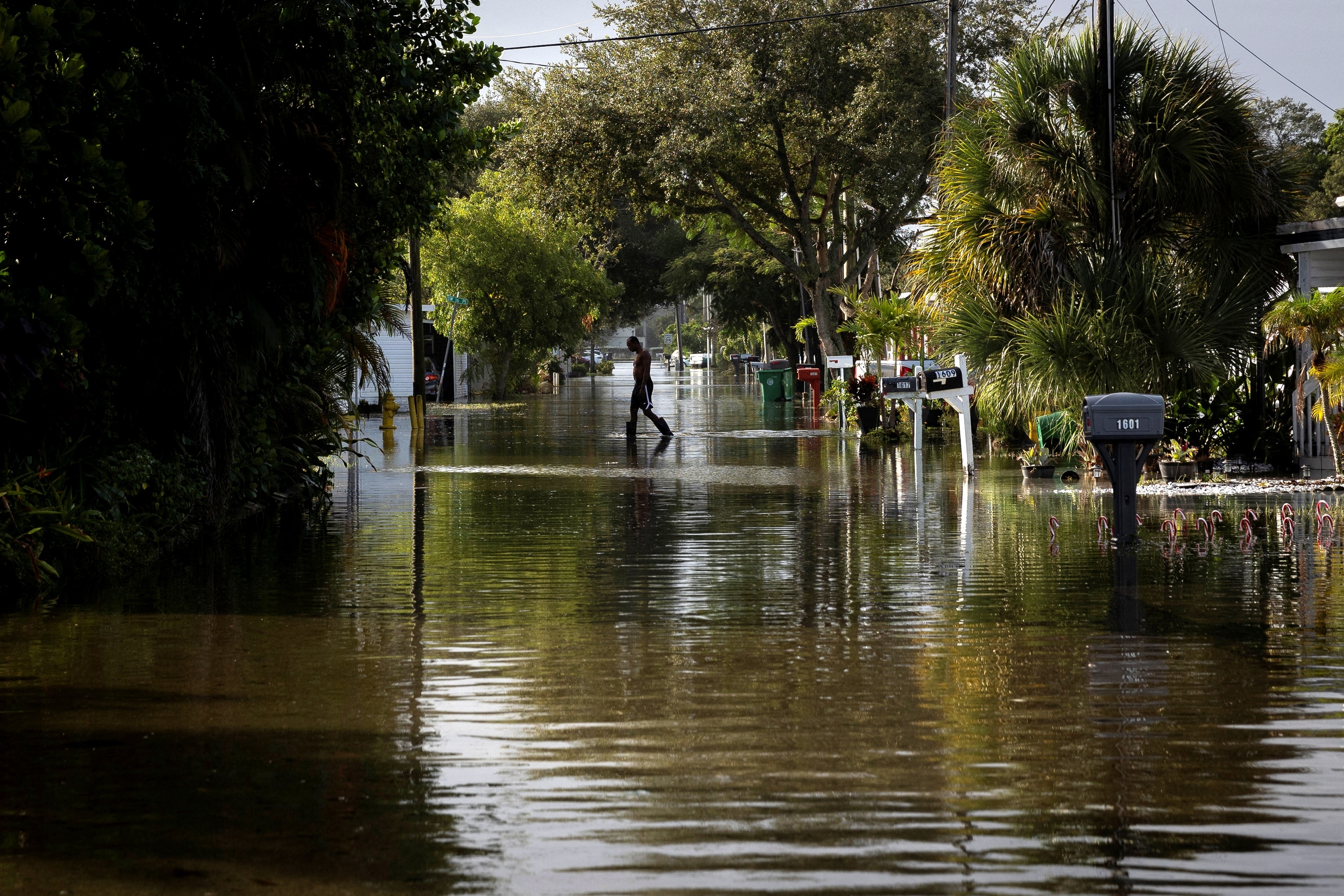 PHOTO: A man walks in a flooded street in a trailer park community in Davie, Florida, November 16, 2023.