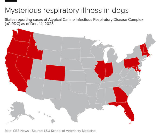 Mysterious dog respiratory illness has spread to 16 states
