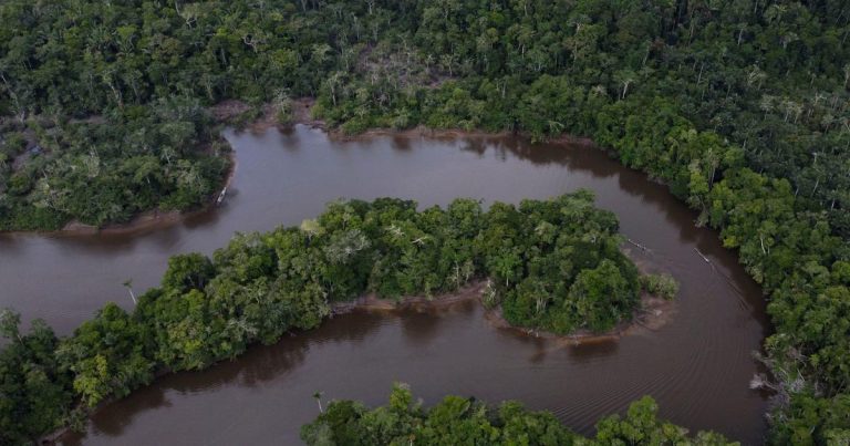 Peruvian rainforest defender killed returning from environmental workshop
