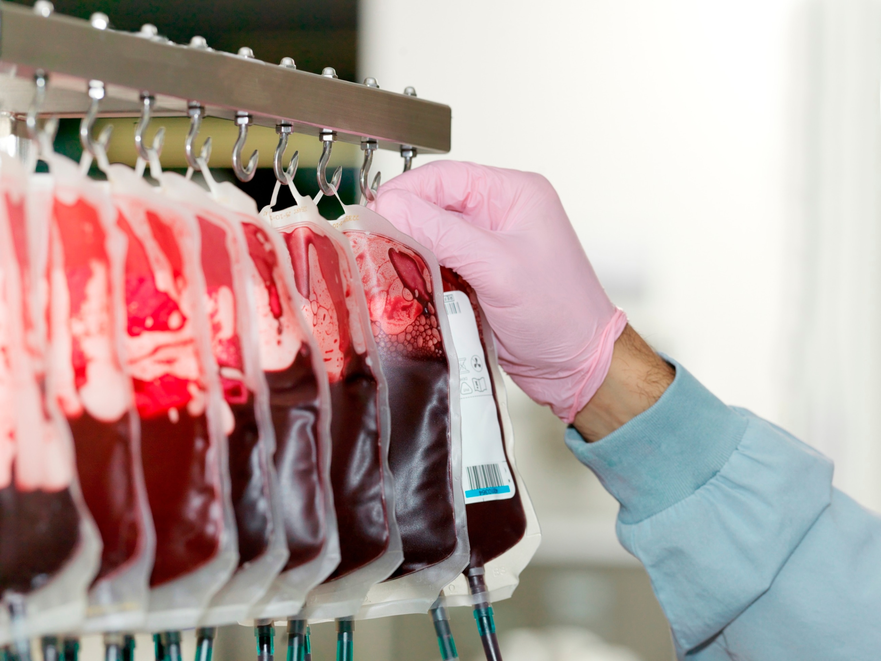 PHOTO: Bags of donated blood hanging in processing facility of blood bank in this undated stock photo.