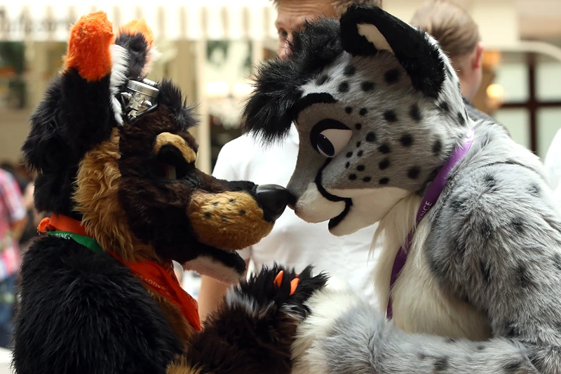 BERLIN, GERMANY - AUGUST 22: Furry enthusiasts greet one another at the Eurofurence 2014 conference on August 22, 2014 in Berlin, Germany. Furry fandom, a term used in zines as early as 1983 and also known as furrydom, furridom, fur fandom or furdom, refers to a subculture whose followers express an interest in anthropomorphic, or half-human, half-animal, creatures in literature, cartoons, pop culture, or other artistic contexts. Many but not all of the followers of the movement wear furry animal costumes. The earliest citation of anthropomorphic literature regularly cited by furry fans is Aesop's Fables, dating to around 500 BC. (Photo by Adam Berry/Getty Images)