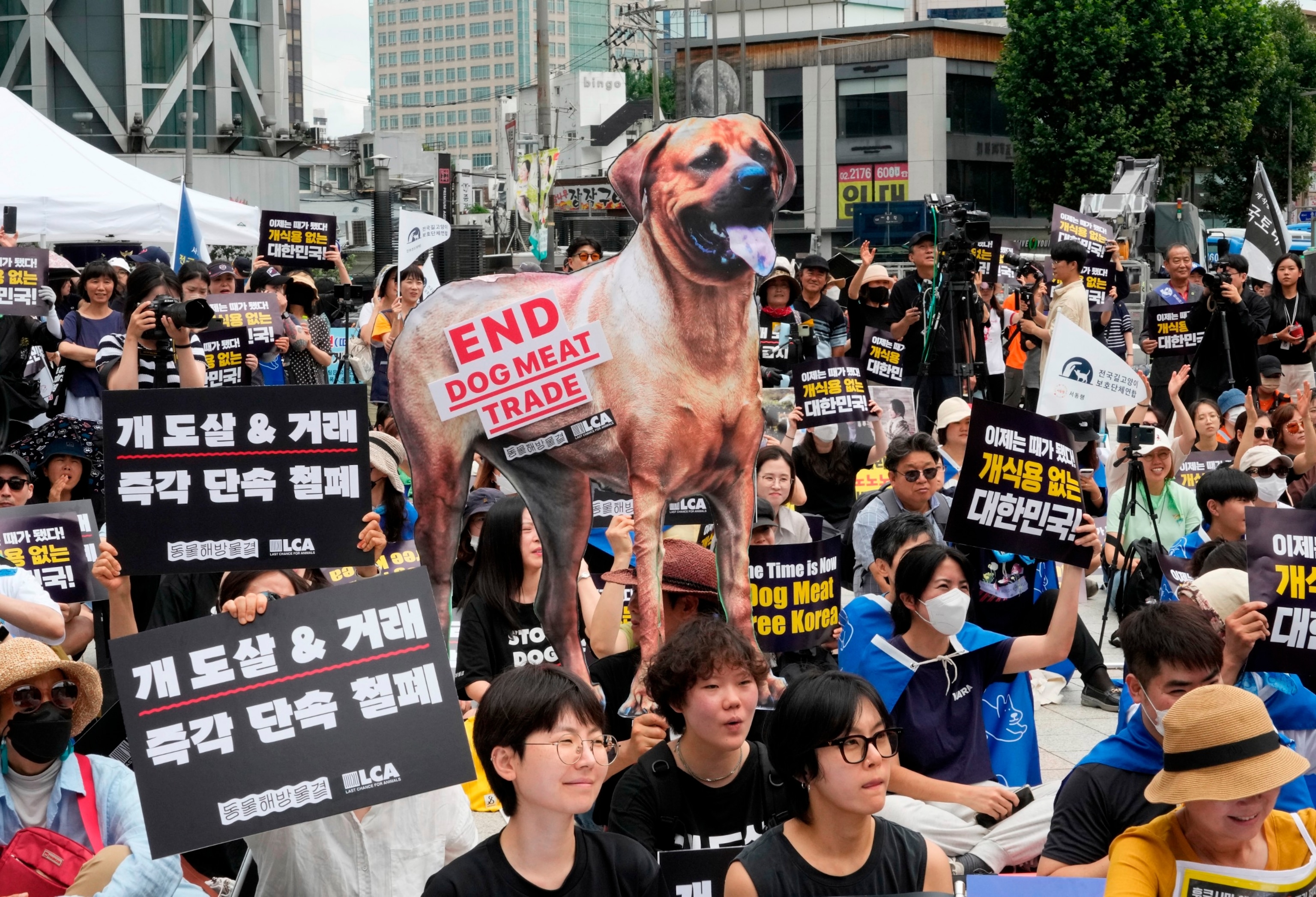 PHOTO: Animal rights activists stage a rally opposing South Korea's traditional culture of eating dog meat in Seoul, South Korea, on July 8, 2023.