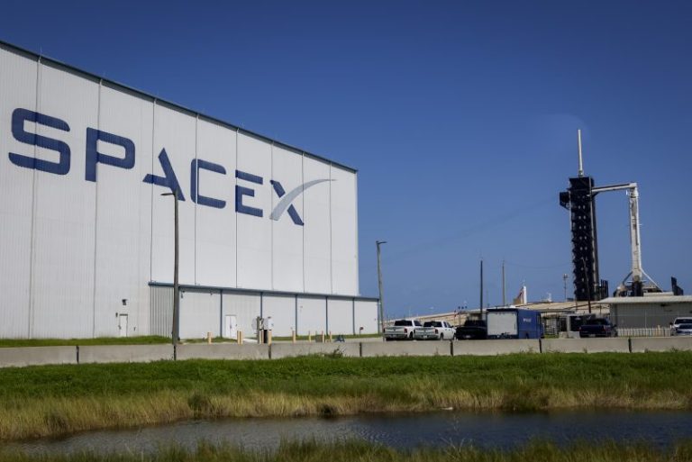 SpaceX sues US agency that accused it of firing workers critical of Elon Musk