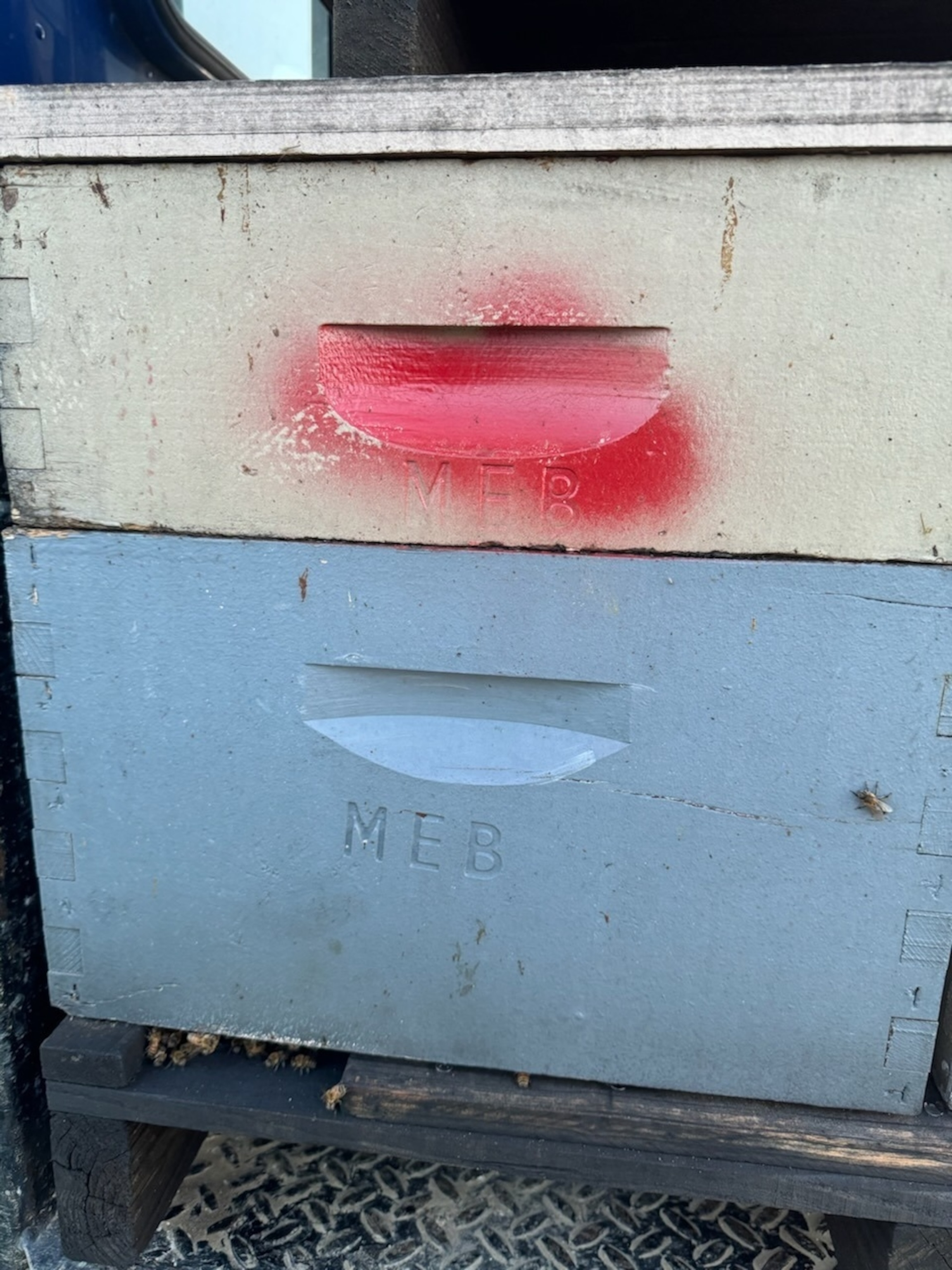 PHOTO: The Fresno County Sheriff's Office said it is looking for 96 stolen bee hives branded with the letters "MEB."