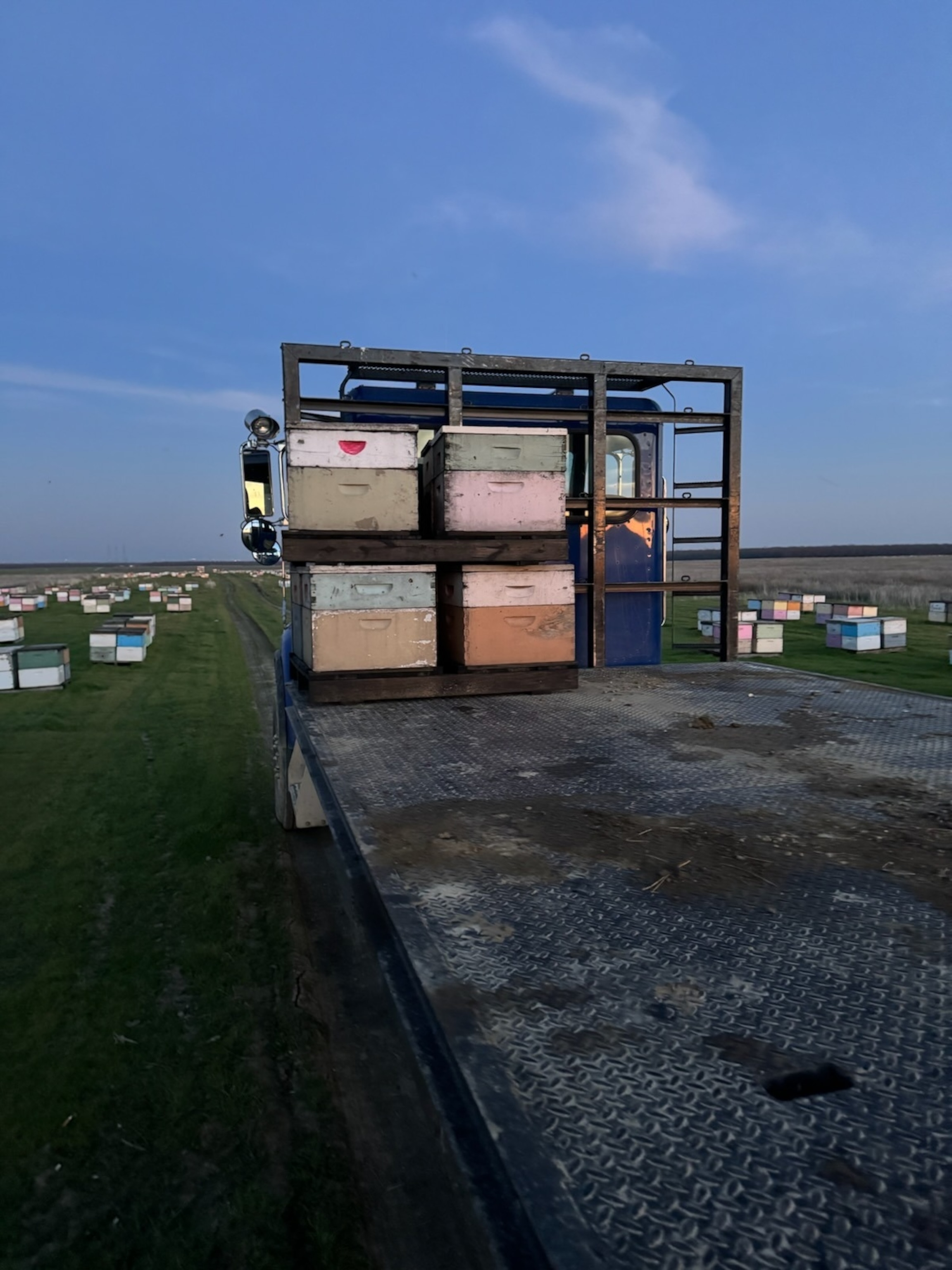 PHOTO: The Fresno County Sheriff's Office said it is looking for 96 stolen bee hives branded with the letters "MEB."