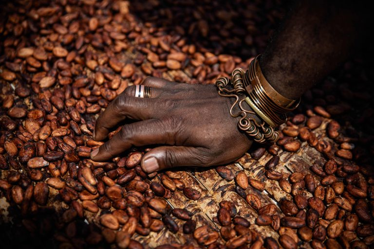 Cocoa prices surge to all-time highs as bad weather hurts West Africa crop yield