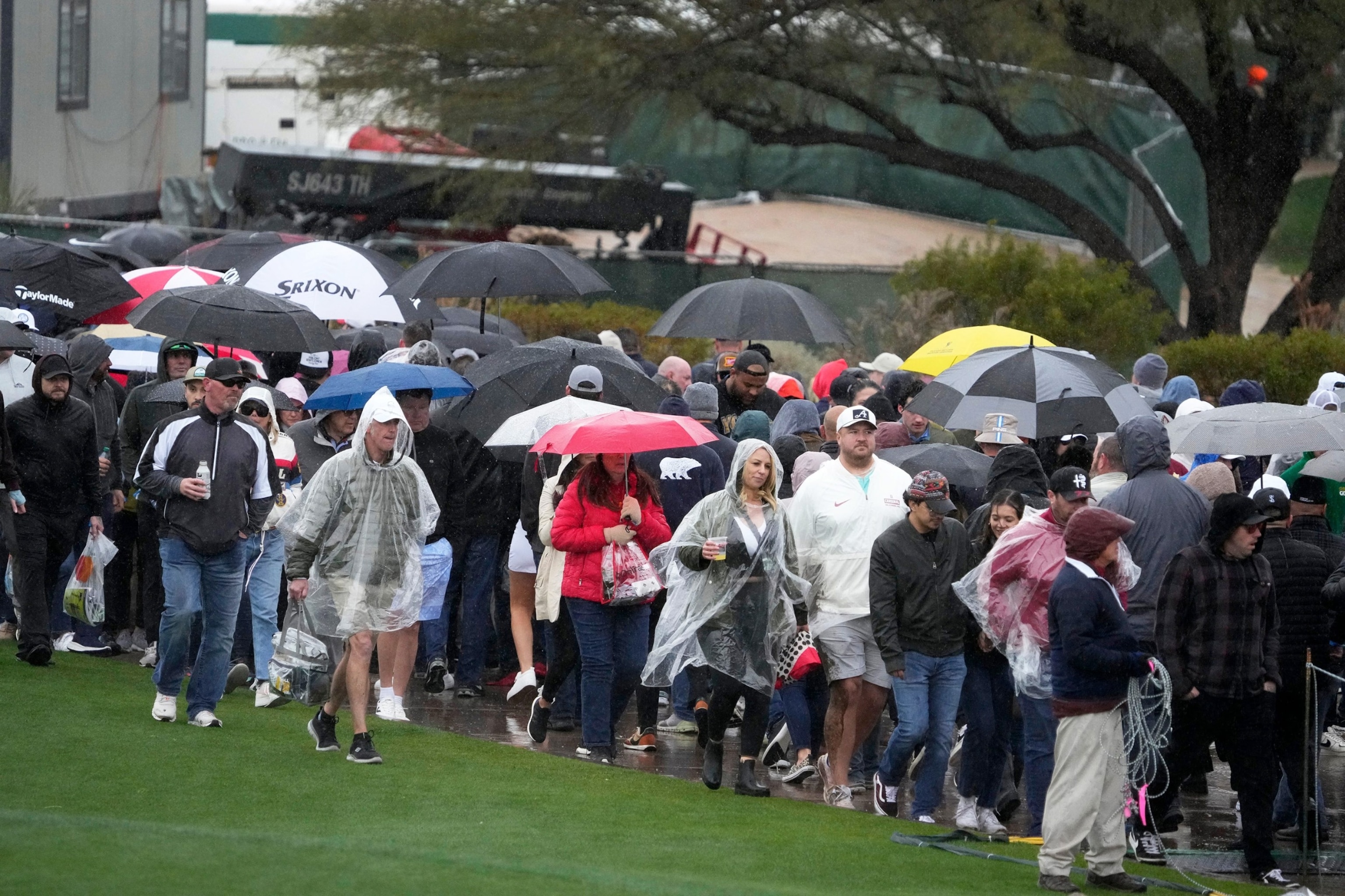 PHOTO: Rain suspends play during round 1 of the WM Phoenix Open at TPC Scottsdale on Feb. 8, 2024, in Scottsdale, Ariz.