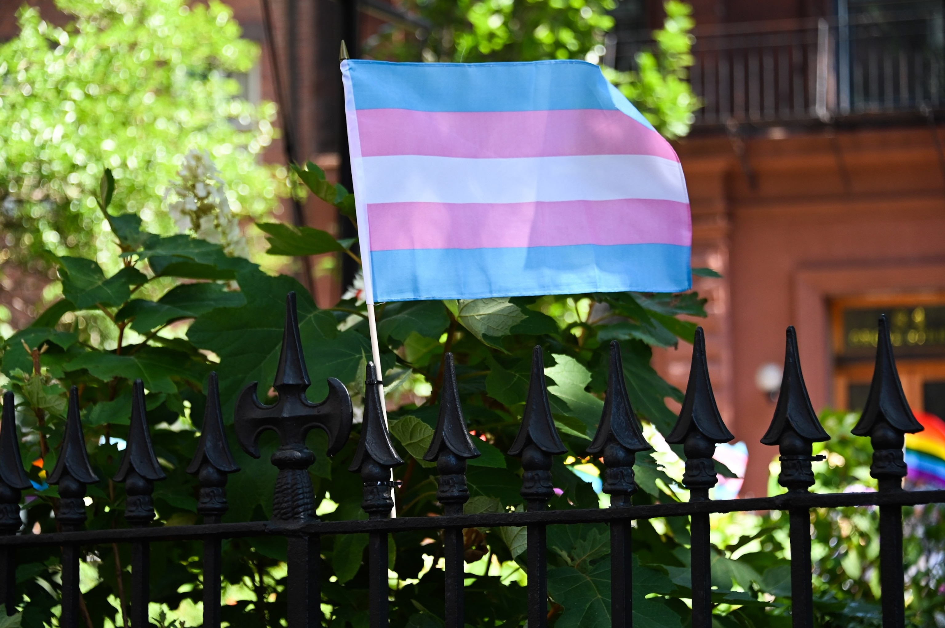 PHOTO: The transgender flag is seen during the New York City Pride Parade on June 26, 2022 in New York City. 