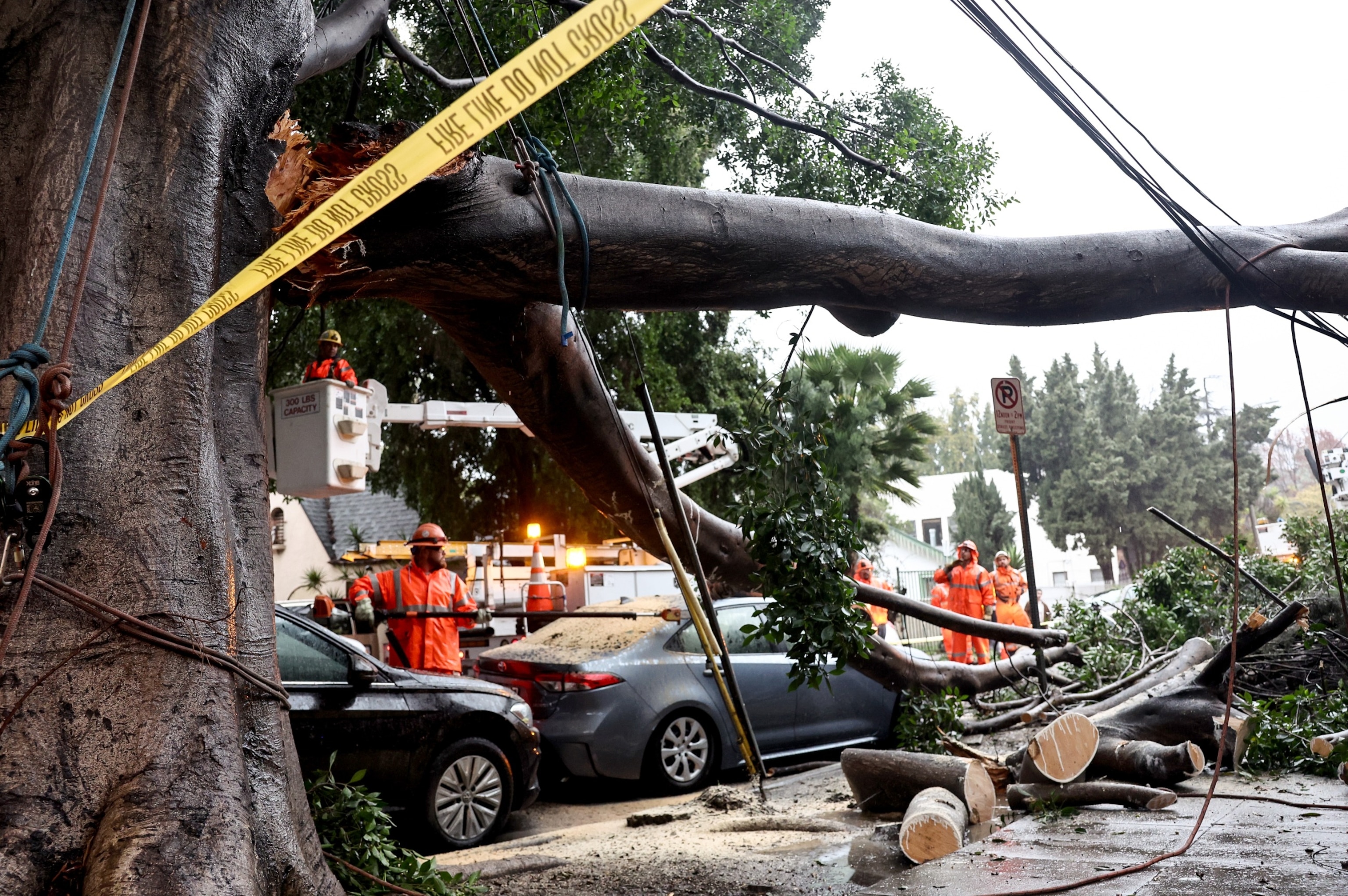 PHOTO: Workers clean up a residential street where a large tree branch fell knocking out power and damaging vehicles, Feb. 19, 2024, in Los Angeles.