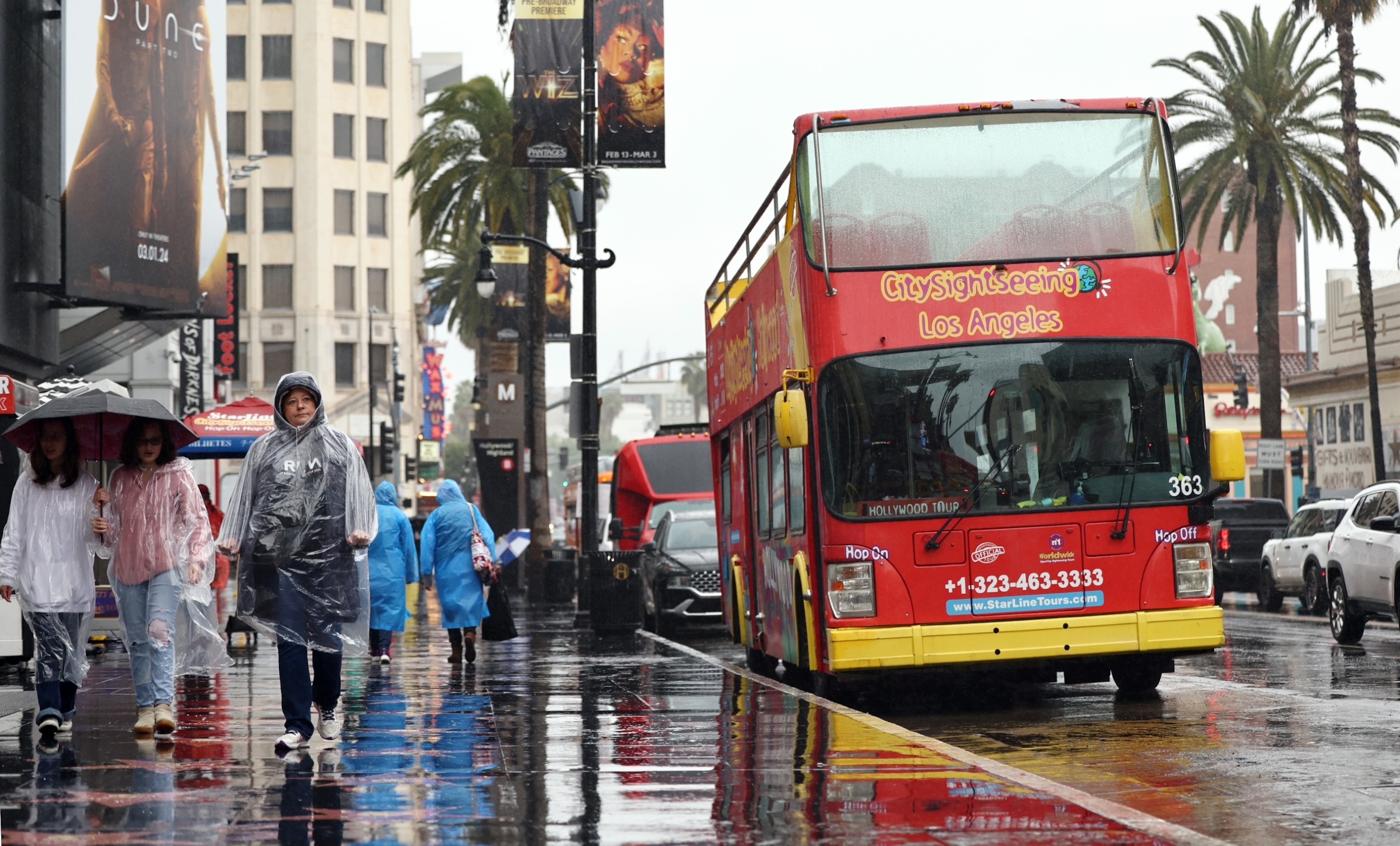 PHOTO: People walk in the rain on Hollywood Boulevard, Feb. 19, 2024, in Los Angeles,