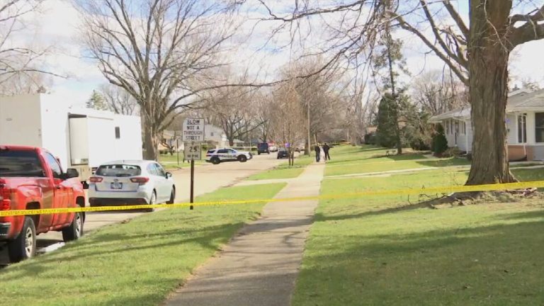 4 dead, 1 in critical condition after Illinois stabbings; suspect in custody