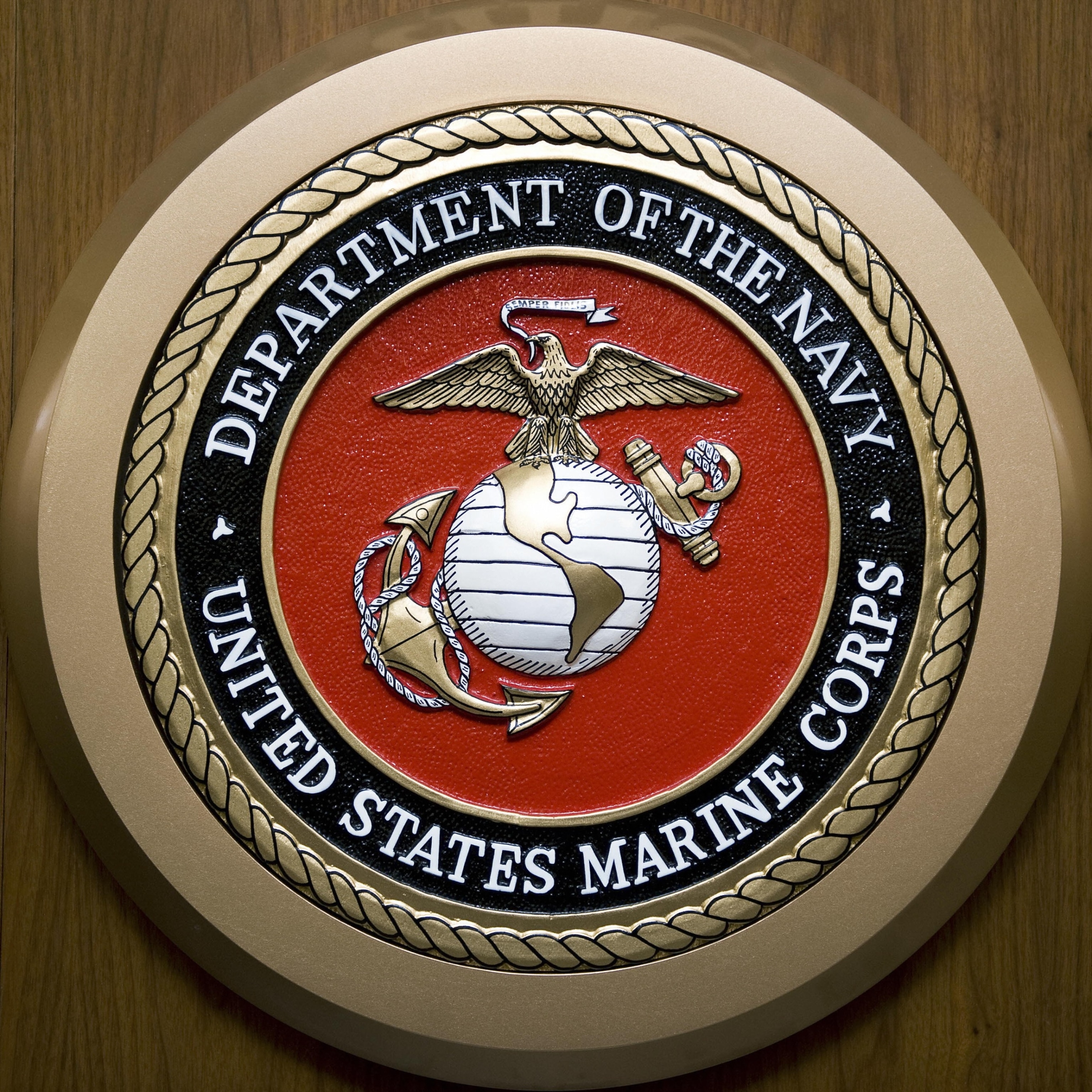 PHOTO: The US Department of the Navy, US Marine