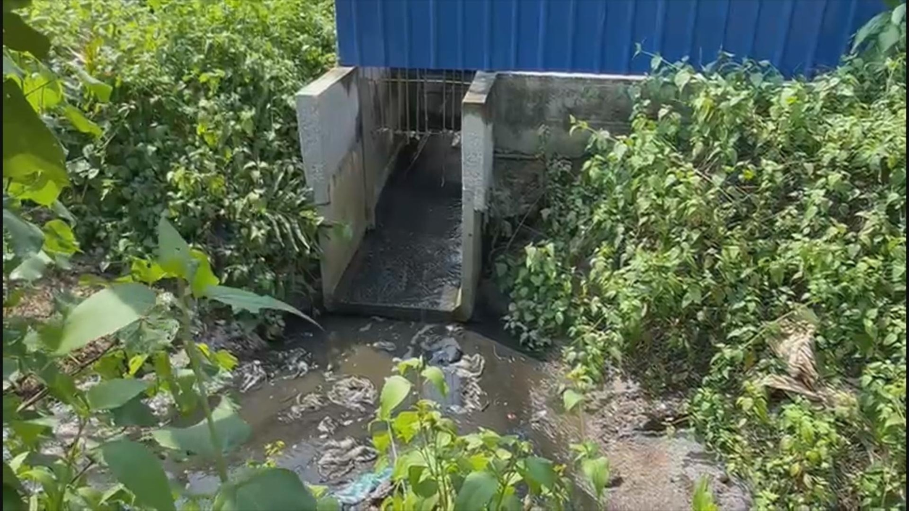 PHOTO: Waste-water being discharged from a Malaysian plastic manufacturing facility where a plastic bag tracker deployed by ABC News last pinged. The discharge empties into a drainage ditch that leads directly to a nearby river. 