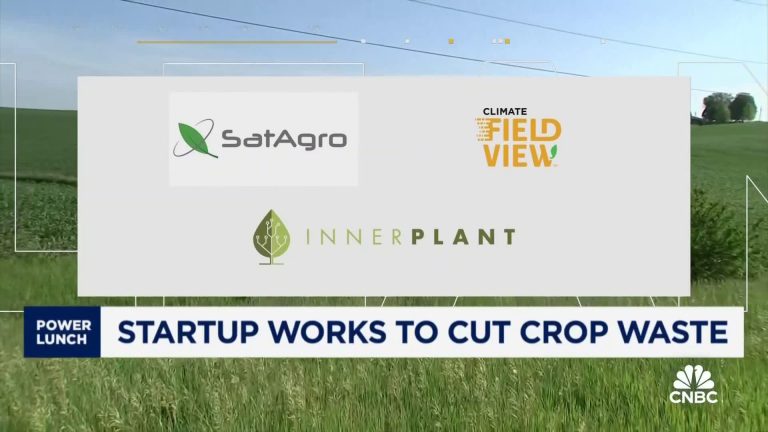 This startup helps plants talk to farmers, reducing pesticides and agricultural waste
