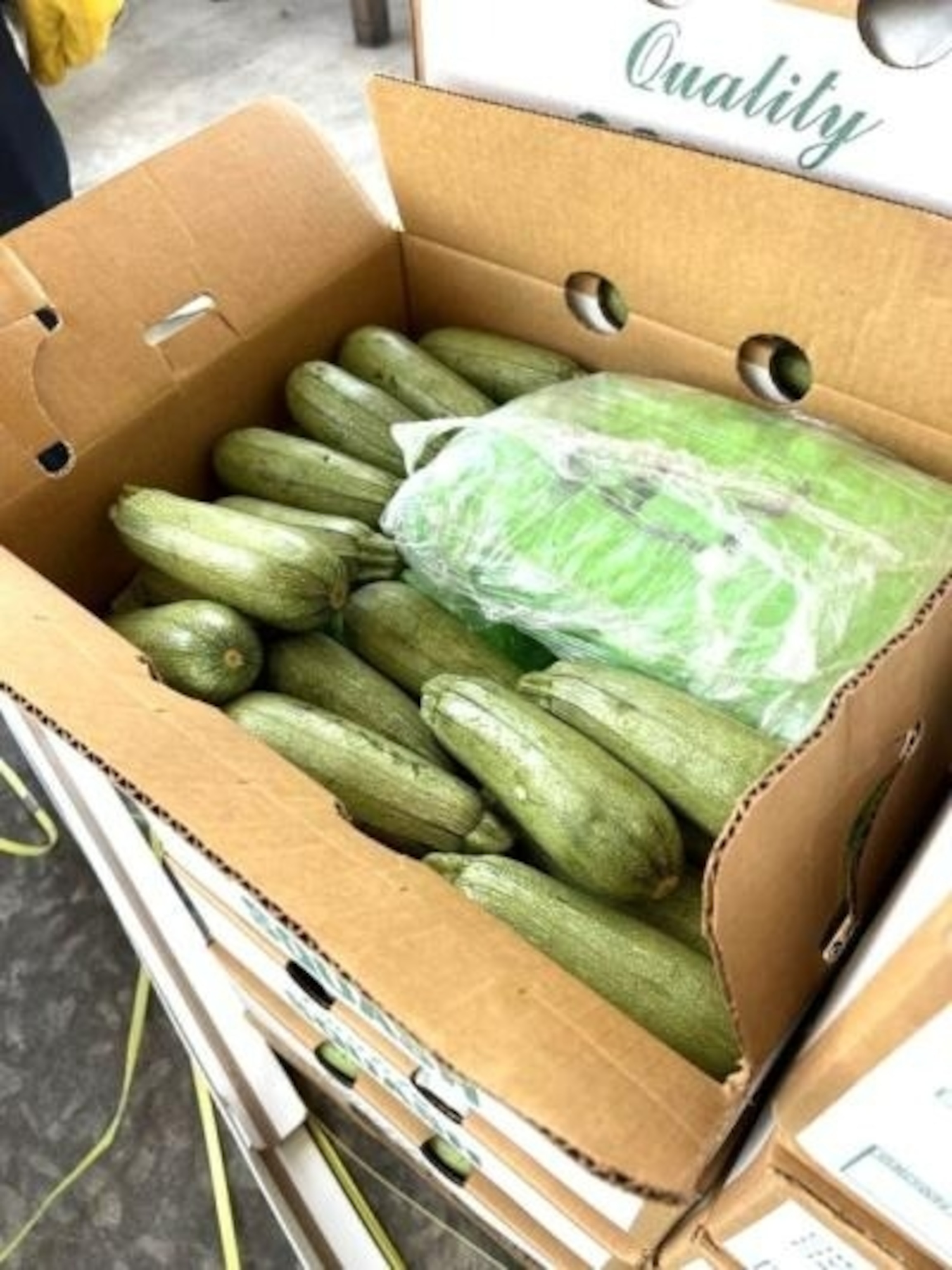 PHOTO: CBP officers discovered 1,419 packages of methamphetamine concealed within the shipment of squash.