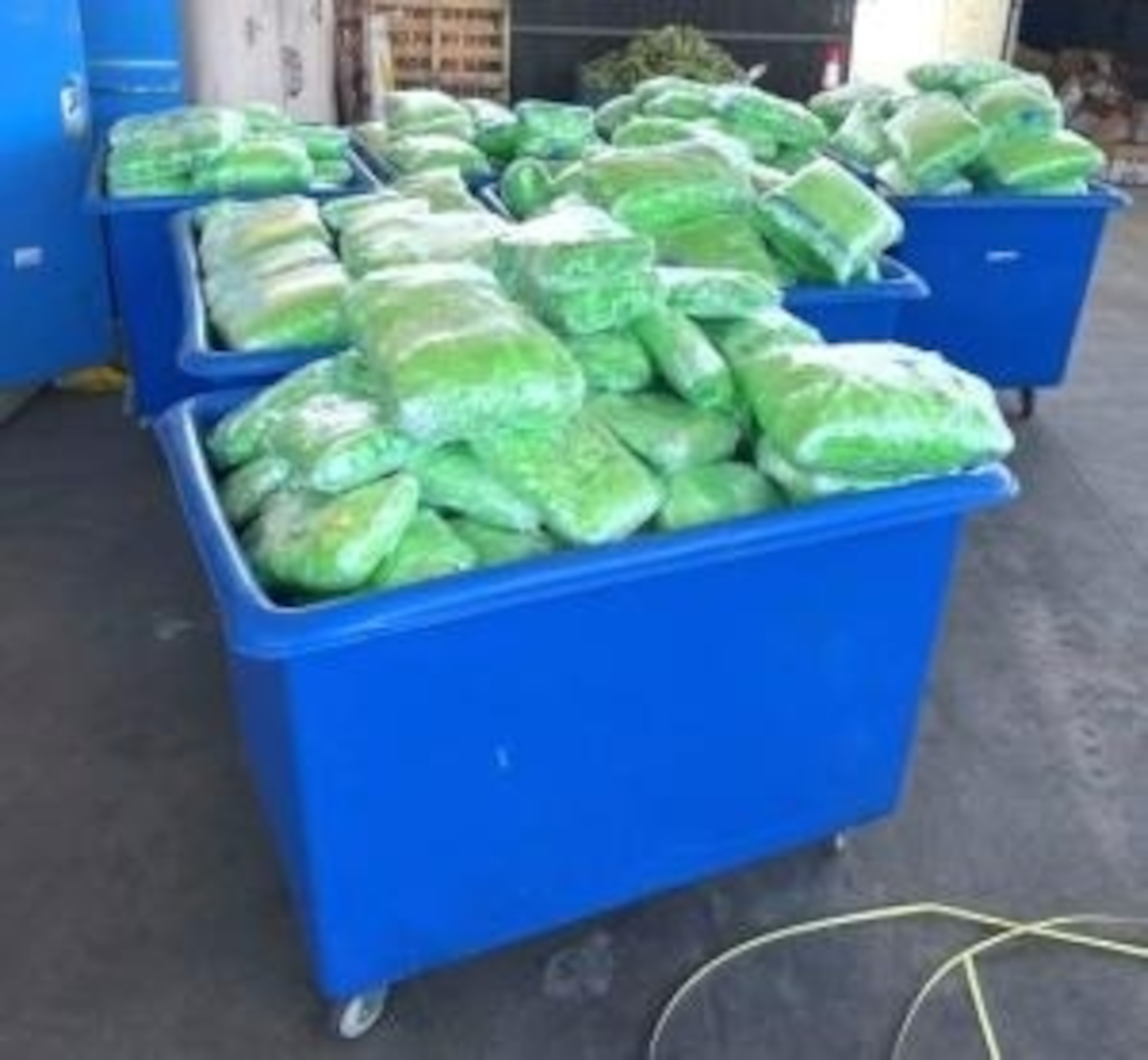 PHOTO: CBP officers discovered 1,419 packages of methamphetamine concealed within the shipment of squash.