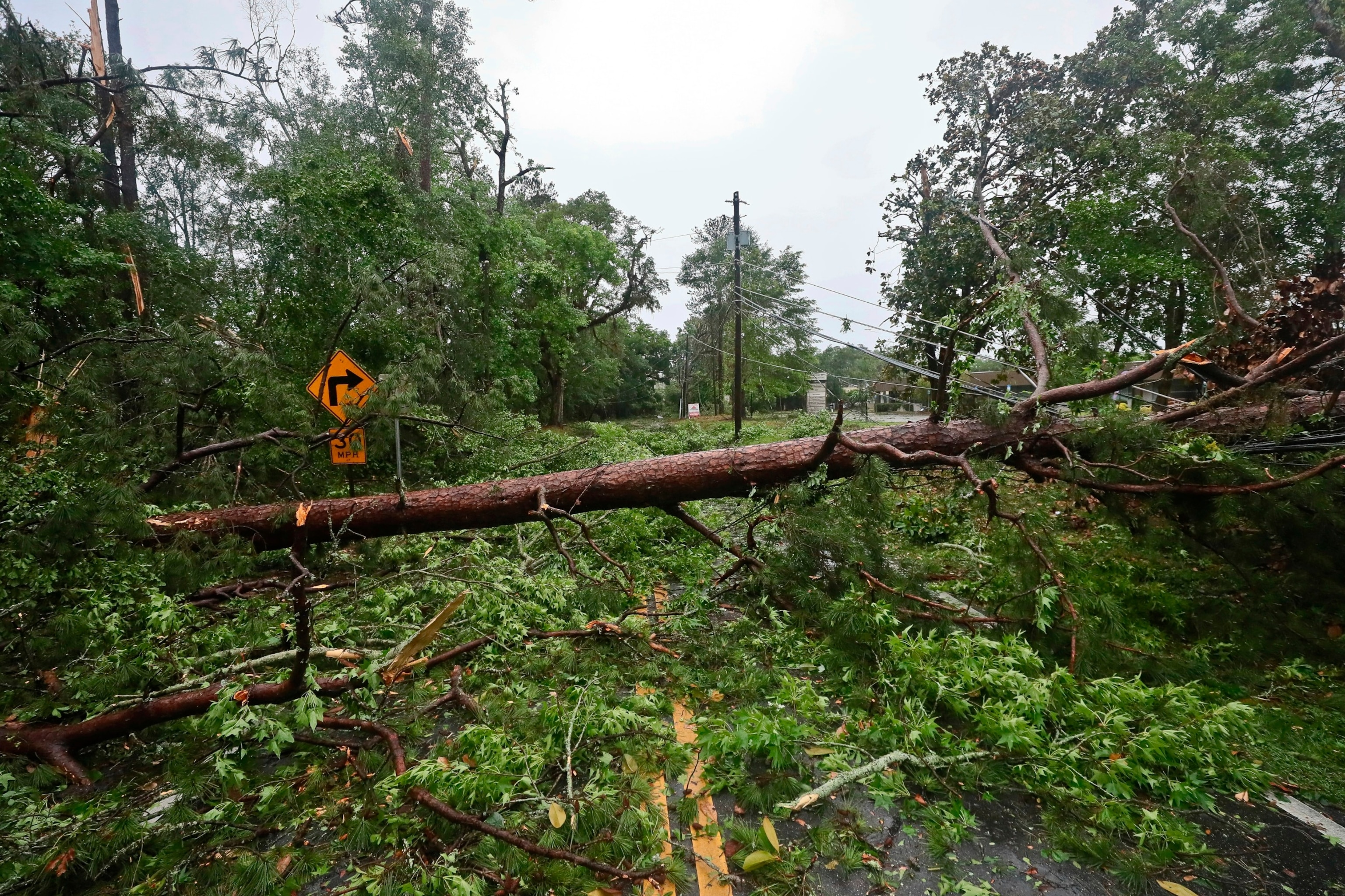 PHOTO: A huge tree on Old St. Augustine Road rests on downed power lines in Tallahassee, Fla.,May 10, 2024. 