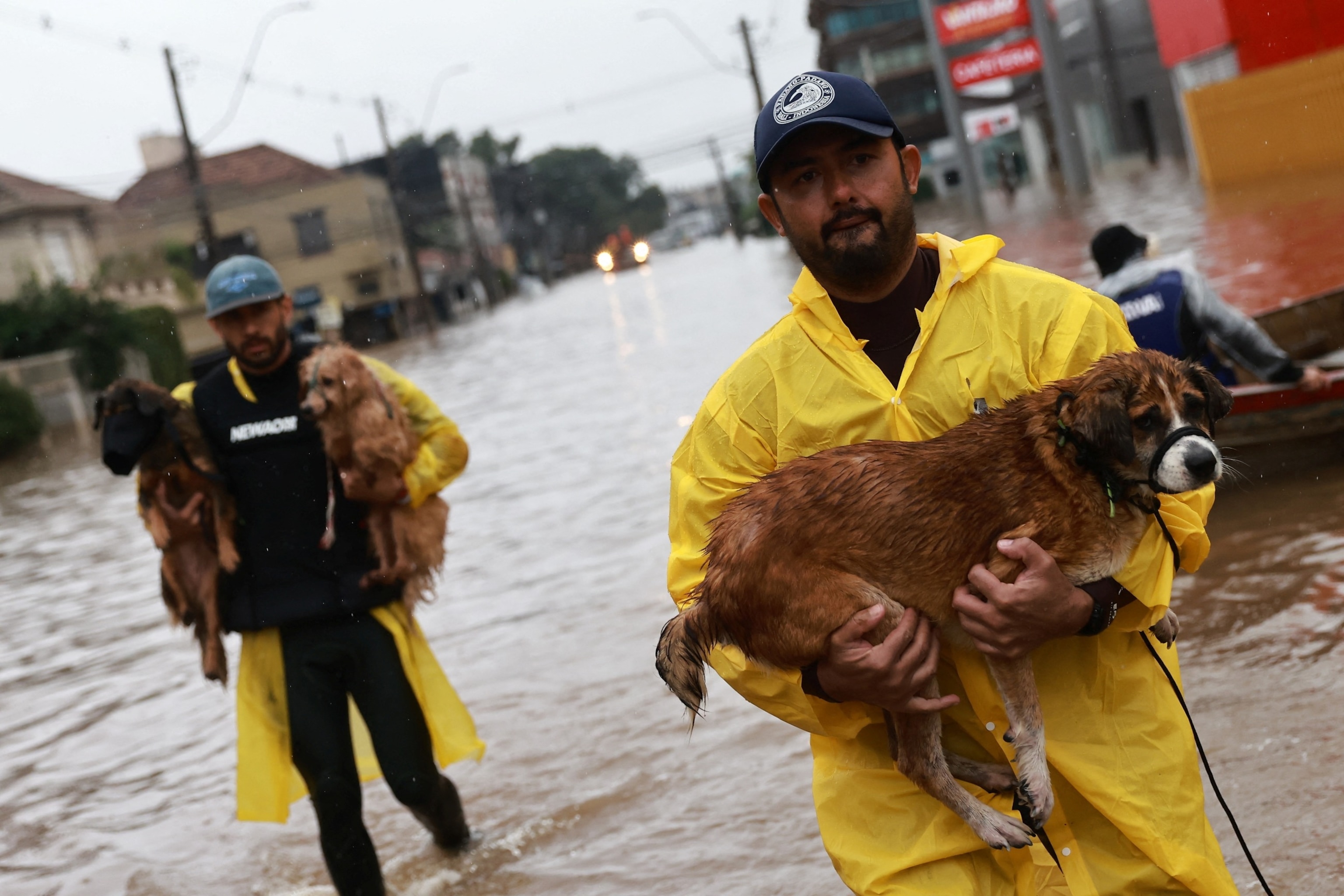 PHOTO: Volunteers carry dogs that have been evacuated from a flooded area in Porto Alegre, Rio Grande do Sul state, Brazil May 10, 2024.