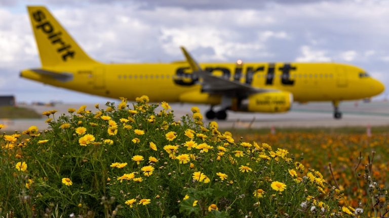 Spirit Airlines CEO says industry is like a ‘rigged game,’ US consumers are ‘long-term losers’