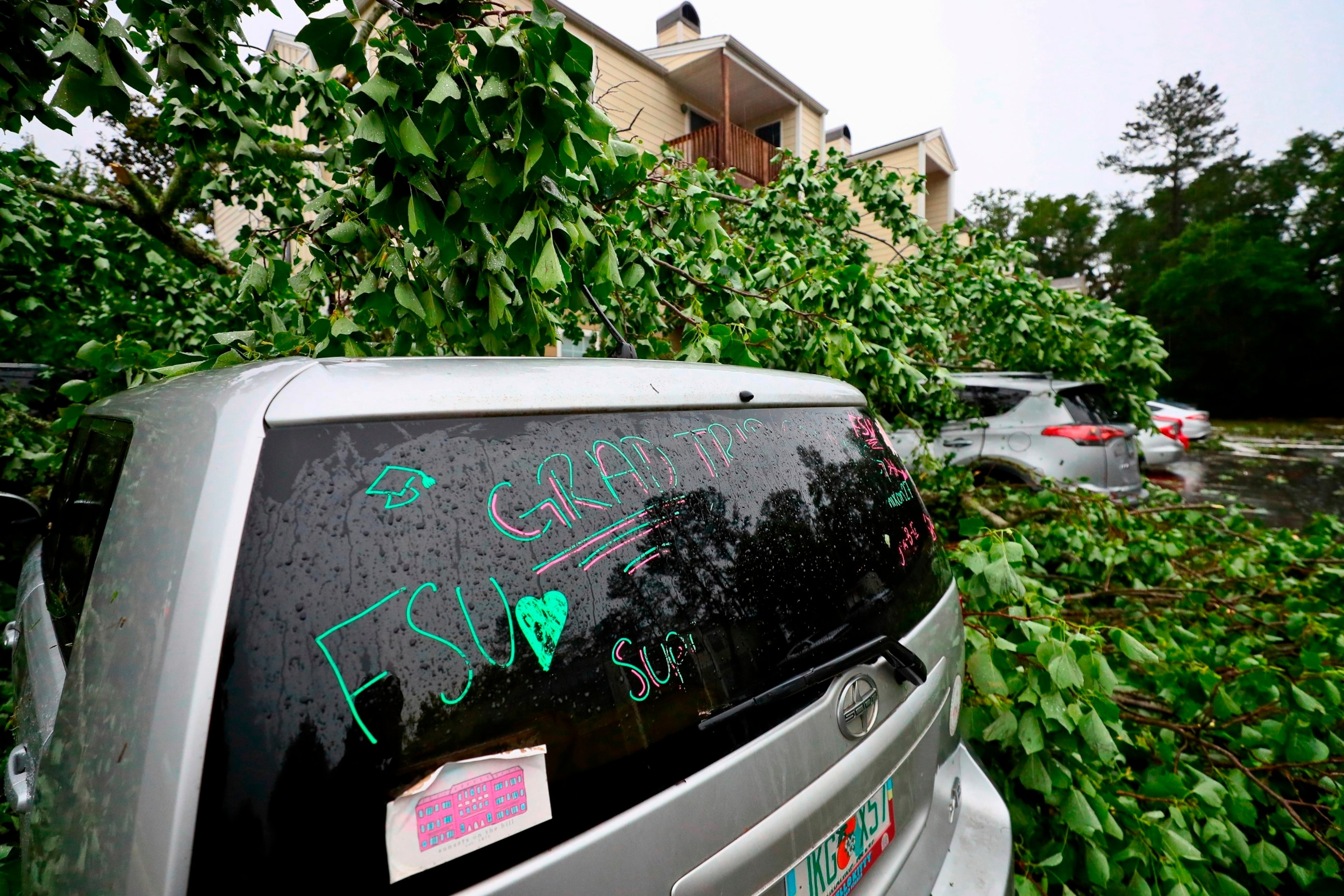 PHOTO: A car is covered by a tree outside an apartment complex in Tallahassee, Fla., May 10, 2024.