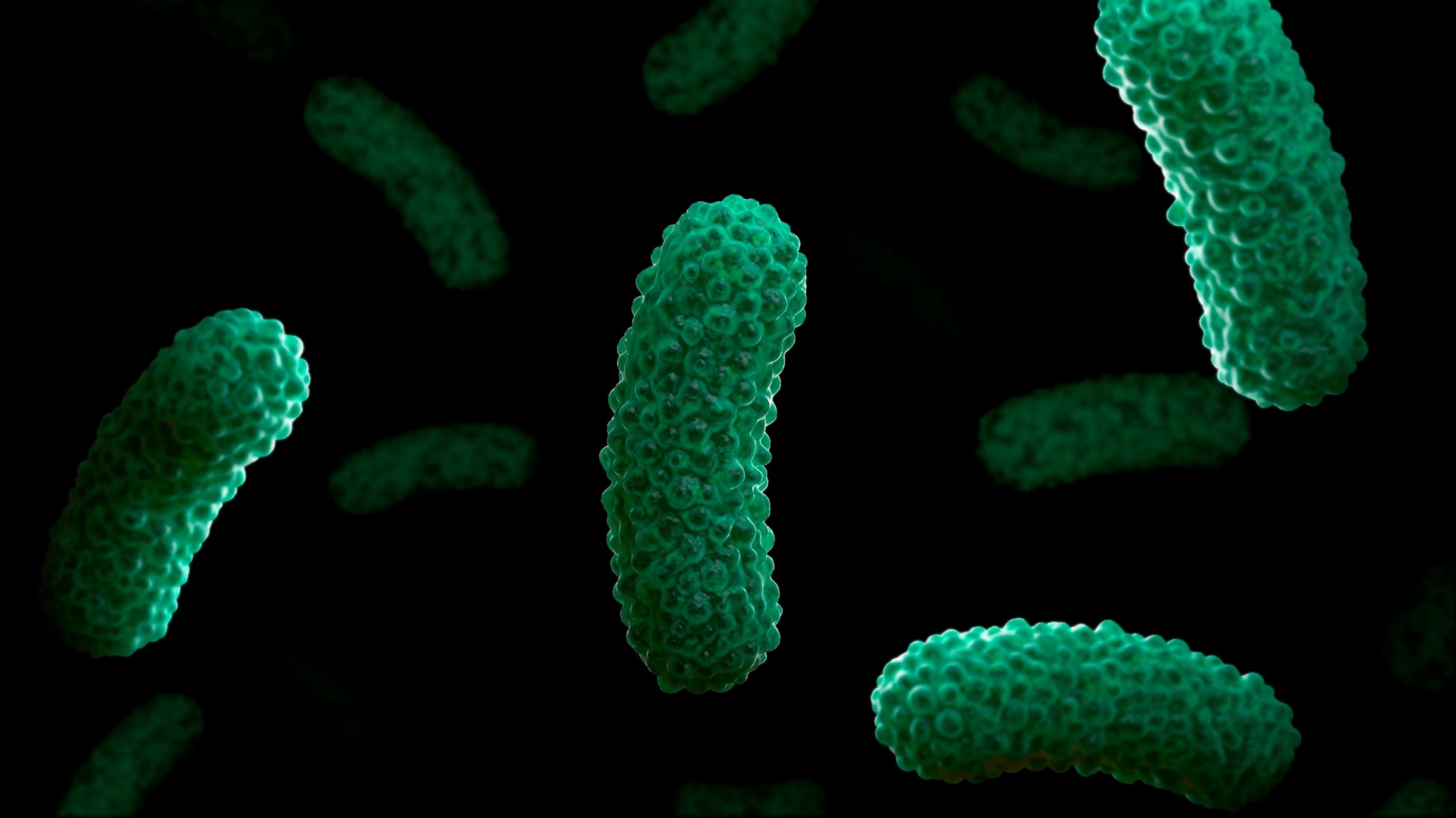 PHOTO: Conceptual biomedical illustration of the bacteria Bordetella pertussis is seen in an undated stock photo.