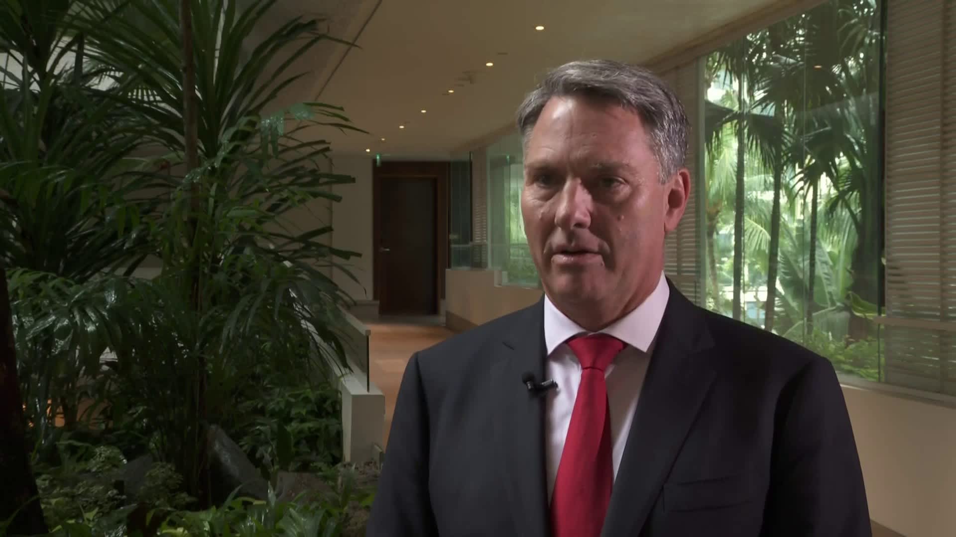 We look to China to act responsibly and maintain rules-based order, Australia's Richard Marles says