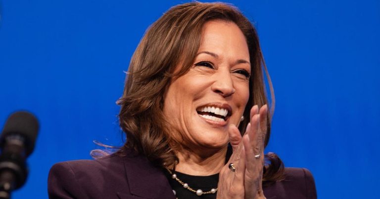 DNC to virtually nominate Harris, running mate by Aug. 7