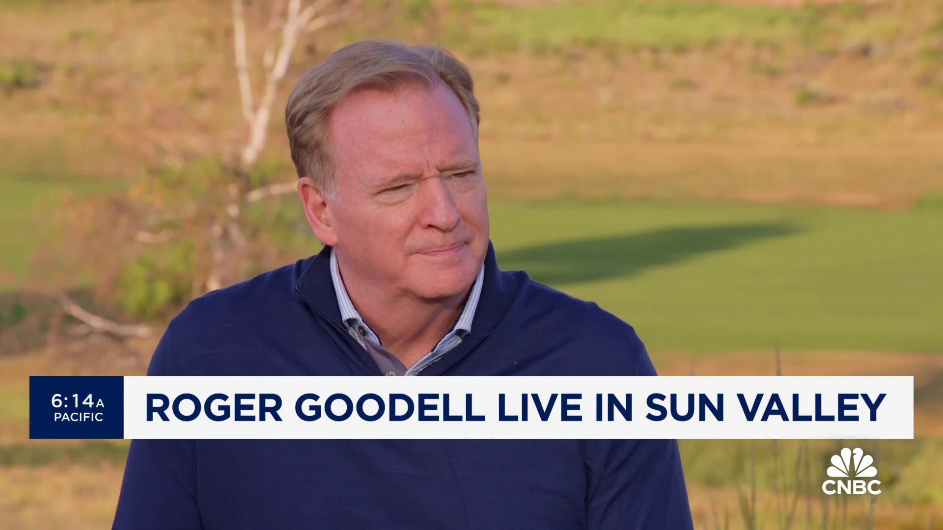 NFL's Roger Goodell on international expansion: Believe the game will be incredibly popular globally