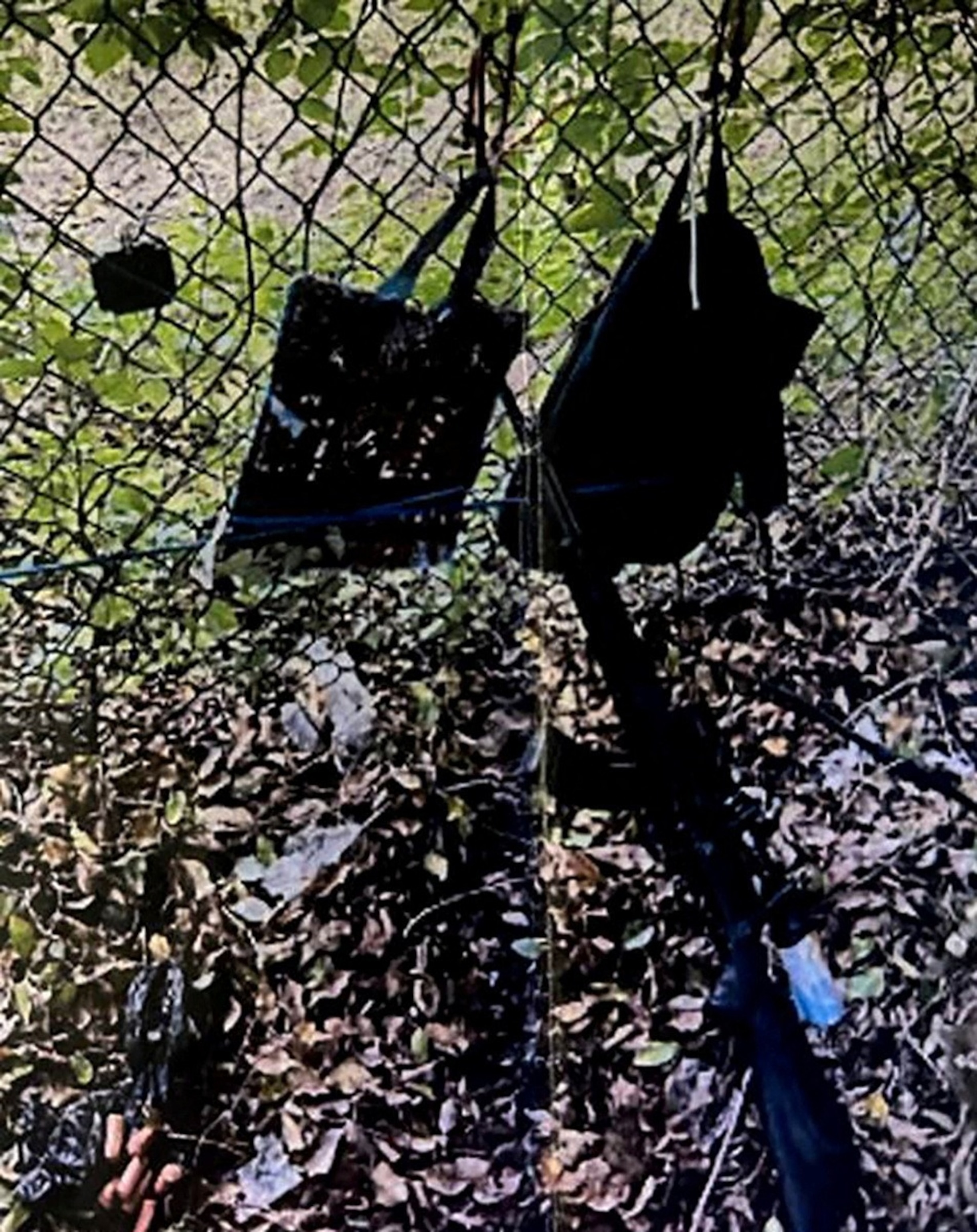 Bags hang from a fence over a rifle propped against it, after the Secret Service foiled what the FBI called an apparent assassination attempt on former U.S. President Donald Trump in West Palm Beach, Florida, U.S. September 15, 2024.