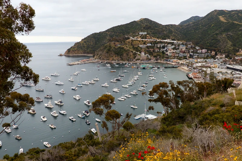 View from Avalon harbor from the Catalina Island ridge top, about 1 hour away from the Los Angeles coast, on April 20, 2019. (Photo by Daniel SLIM / AFP) (Photo credit should read DANIEL SLIM/AFP via Getty Images)