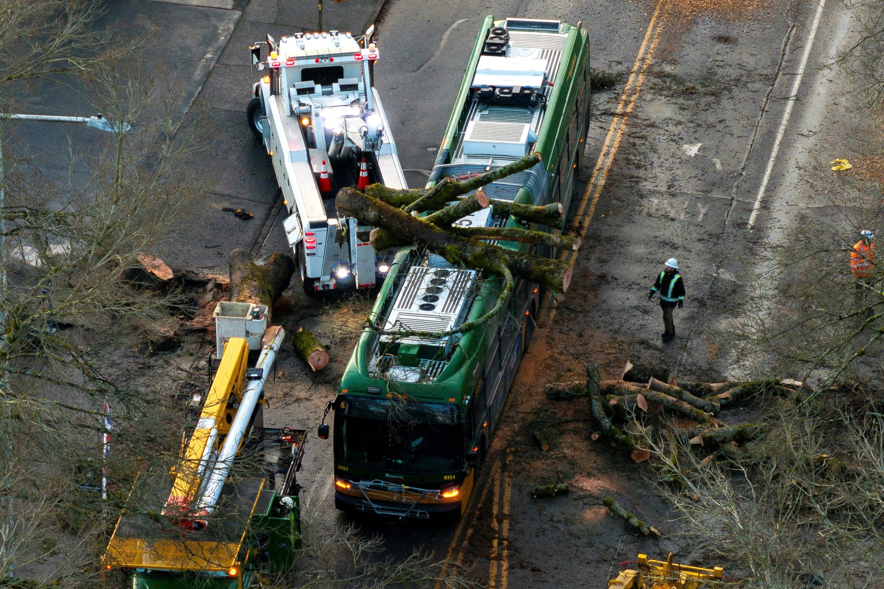 PHOTO: A drone view of crews working to remove a fallen tree from a bus after a powerful storm hit wreaking havoc on road travel, in Seattle, Washington, Nov. 20, 2024. 