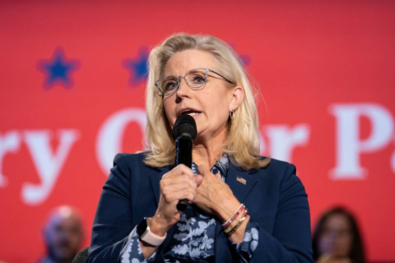 ROYAL OAK, MICHIGAN - OCTOBER 21: Former U.S. Rep. Liz Cheney (R-WY) speaks at a town hall with Democratic presidential nominee, Vice President Kamala Harris, at the Royal Oak Music Theatre on October 21, 2024 in Royal Oak, Michigan. Cheney joined Vice President Harris for stops Monday in Pennsylvania, Michigan and Wisconsin. (Photo by Sarah Rice/Getty Images)