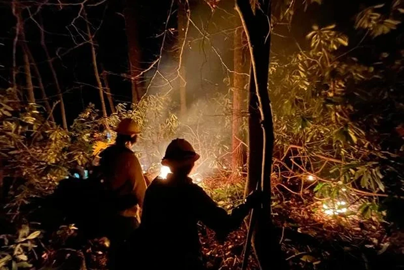 U.S. Forest Service - National Forests in North Carolina via Facebook