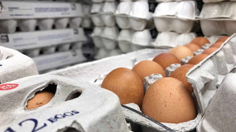 Trump administration unveils key strategy to ‘immediately’ bring down record-high egg prices