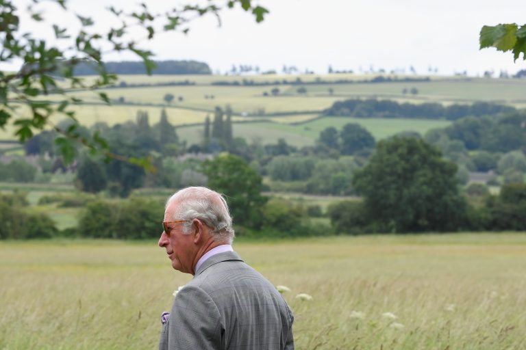 From crop rotation to ‘mob-grazed’ livestock: Inside the sustainable farm beloved by King Charles III