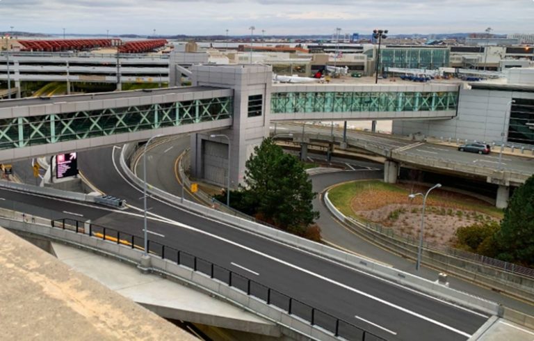 Scorpion stings woman at Boston baggage claim after flight from Mexico